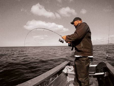 Celebration charter on the water, Southern California