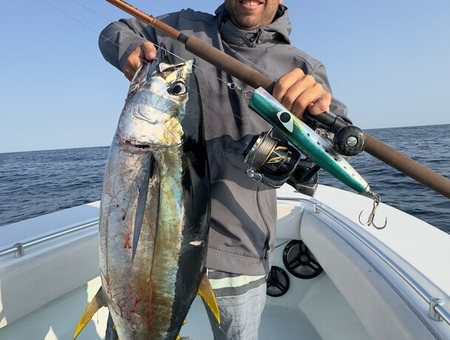 Ocean adventure charter, Southern California