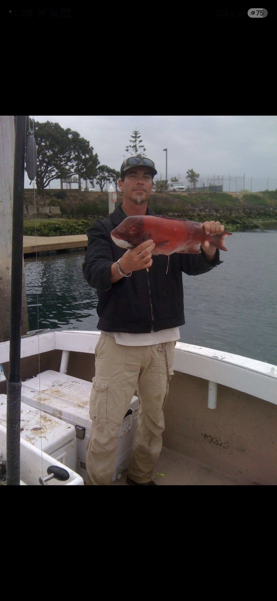 Angler holding a red California sheephead